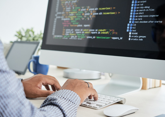 Web development services