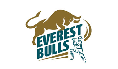 Logo design: everest bulls