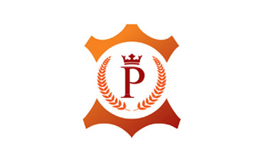 Logo design: penza group